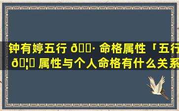 钟有婷五行 🌷 命格属性「五行 🦟 属性与个人命格有什么关系」
